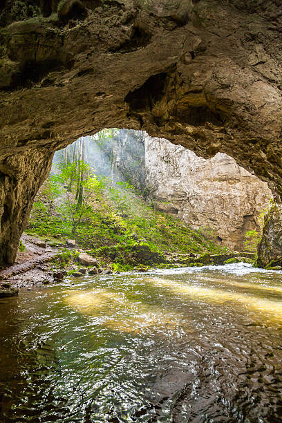 istock Natural tunnel in Rakov Skocjan Valley 515836256