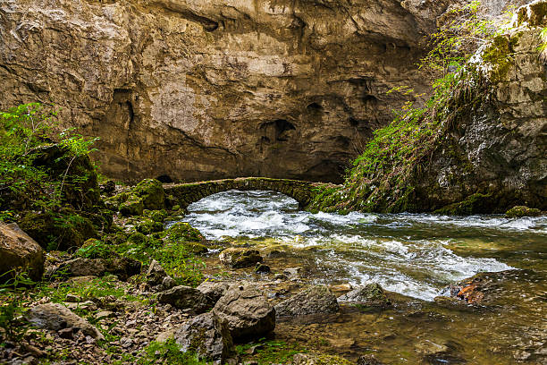 istock Natural tunnel in Rakov Skocjan Valley 515836574