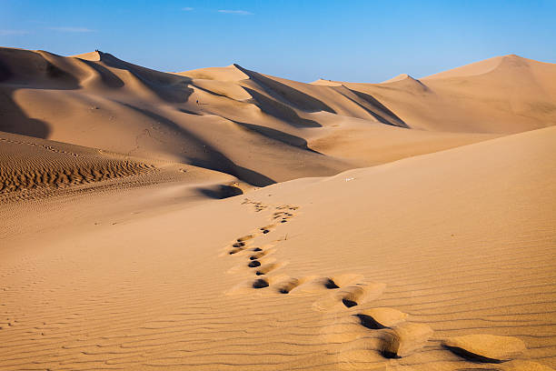 istock Huacachina desert dunes 515838300