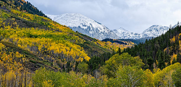 istock Snow on Mountains with Fall Aspen Trees Landscape 515839495
