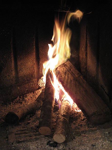 Photo of trunks of wood burn on red and yellow flame of fire