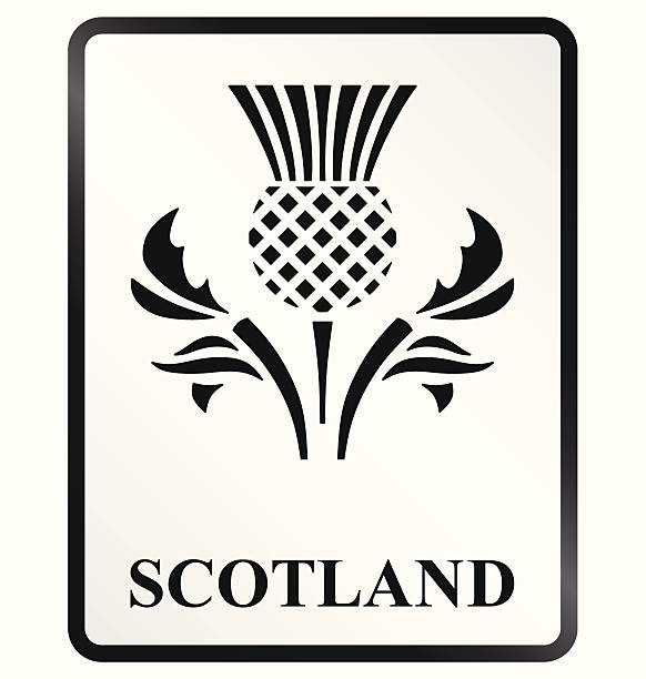 Scotland Sign Monochrome Scotland public information sign isolated on white background thistle stock illustrations