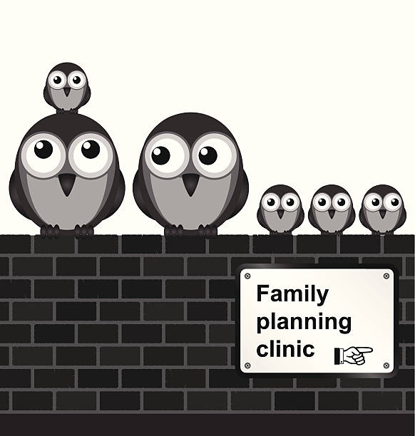 ilustraciones, imágenes clip art, dibujos animados e iconos de stock de la planificación familiar - owl young animal bird mother