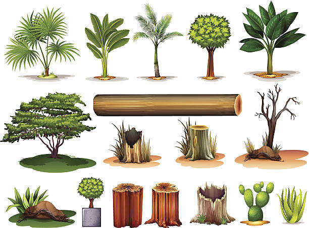ilustrações, clipart, desenhos animados e ícones de árvores e stumps - árvore caída