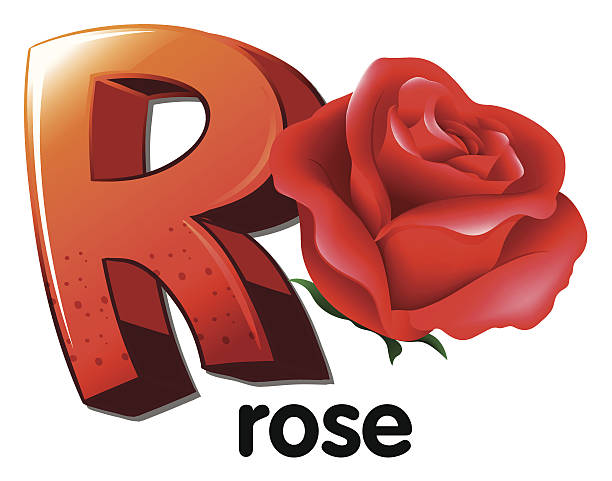 Cursive R With Roses 70+ Alphabet Letter R Rose,Vector Stock Illustrations, Royalty-Free ...