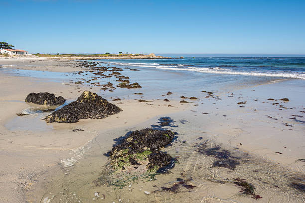 istock The beach in Monterey, California 515841441