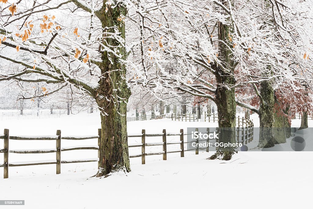 XXXL: Winter wonderland of snow covered fields and wooden fence. Winter wonderland of snow covered fields and wooden fence. Agricultural Field Stock Photo