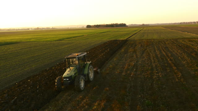 AERIAL Farmer plowing the field at dawn