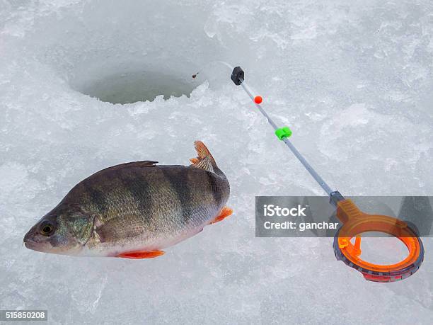 Ice Fishing In Russia Stock Photo - Download Image Now - Activity, Adult, Blue