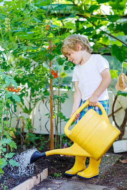 маленький ребенок мальчик лейку растений в теплице - gardening vegetable garden action planting стоковые фото и изображения