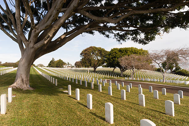 istock Military Cemetery Manicured Grass Big Tree Marble Headstones 515853588