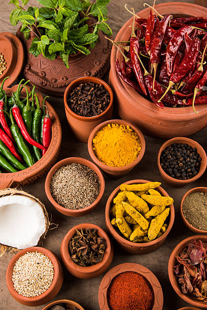 spezie indiane in vasi di terracotta, spezie colorate, gruppo di spezie - spice kitchen utensil herb curry powder foto e immagini stock