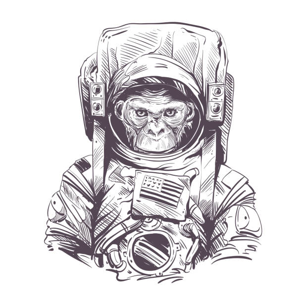Monkey in astronaut suit. Hand drawn vector illustration Monkey in astronaut suit. Hand drawn vector illustration astronaut drawings stock illustrations