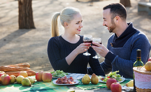 Loving young beautiful smiling couple drinking wine and talking on picnic