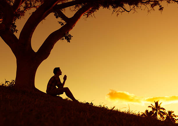 Man praying Male sitting under a tree clasping his hands together.  (Praying and feeling desperate concept) praying child religion god stock pictures, royalty-free photos & images