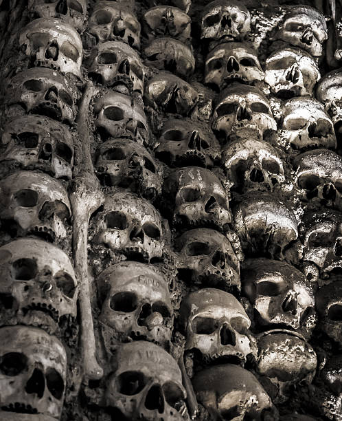 istock Wall full of skulls and bones 515861473
