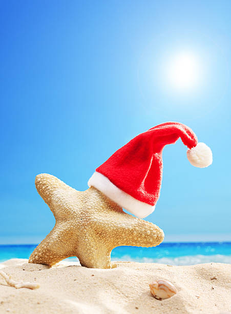 istock Santa hat on starfish at a beach 515862739
