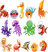 meer-tiere.jpg?b=1&s=170x170&k=20&c=VrHz