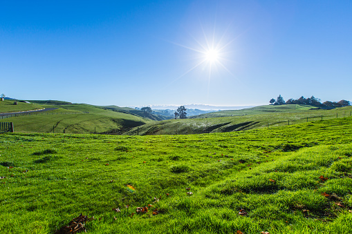 Bright shining sun lights up rolling green hills near Hobbiton, New Zealand. Shot with a Canon 5D Mark III.