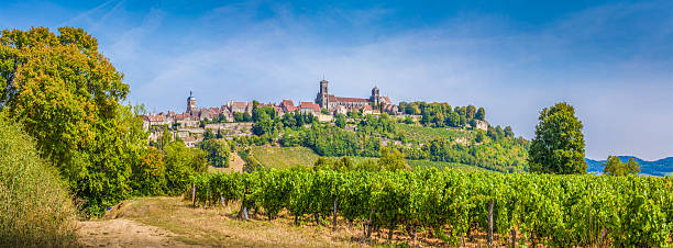 histórica ciudad de vezelay con la famosa abadía, bordó, francia - burgundy fotografías e imágenes de stock