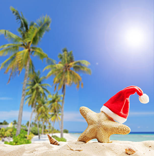 istock Starfish with Santa hat by the ocean 515865739