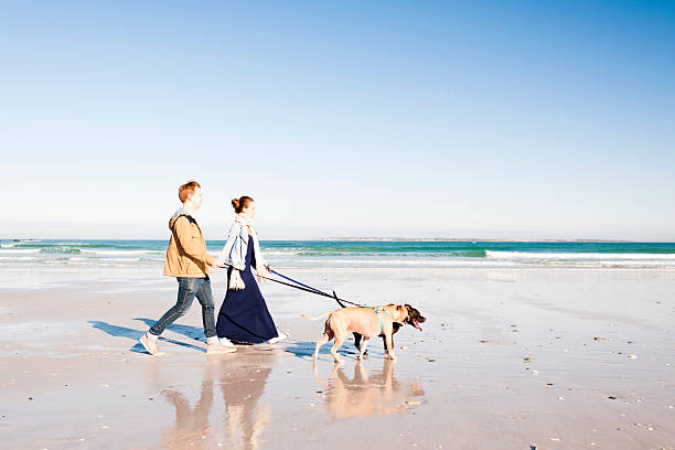 istock Enjoying The Day With Our Dogs 515867139