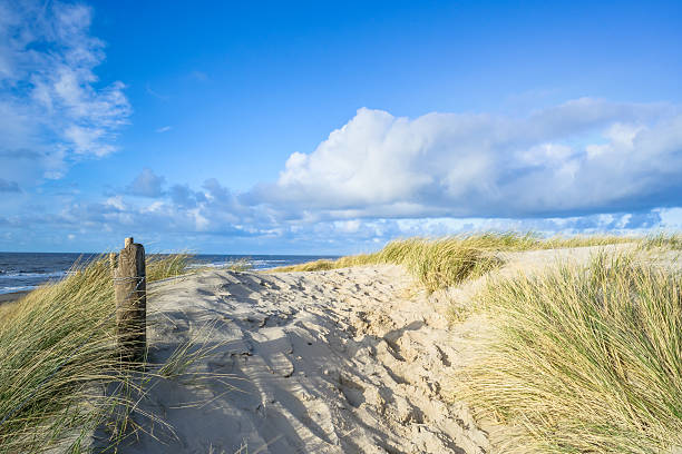 View on the beach from the sand dunes View on the beach from the sand dunes in the Netherlands friesland netherlands stock pictures, royalty-free photos & images