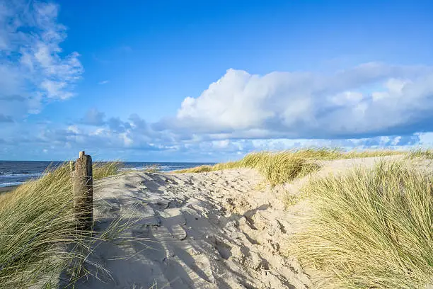 View on the beach from the sand dunes in the Netherlands