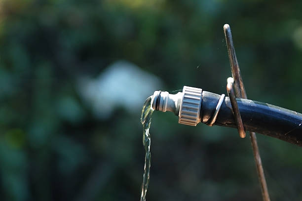 istock water flowing from a garden hose pipe on blurry background 515883888
