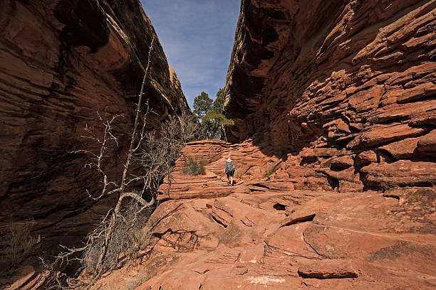istock Hiker Heading into a Desert Canyon 515884694