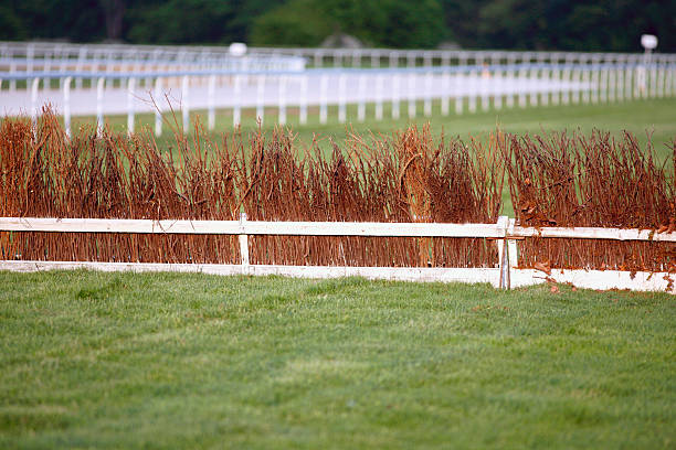 istock Horse racing training tracks with fence barriers 515884858