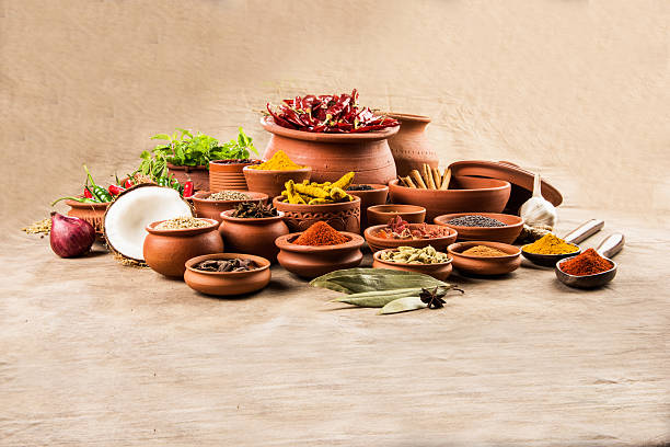 spezie indiane in vasi di terracotta, spezie colorate, gruppo di spezie - organic spices foto e immagini stock