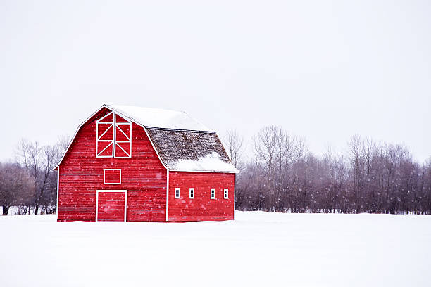 Tranquil winter scene at picturesque farm in rural New England with red barns, split-rail fence, and tree branches covered with blanket of fresh white snow.