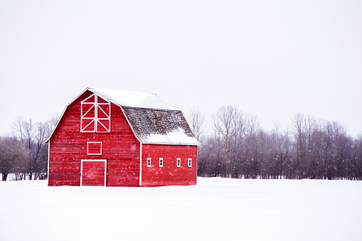 Bright red barn with white trim in white winter landscape and bare trees in the background