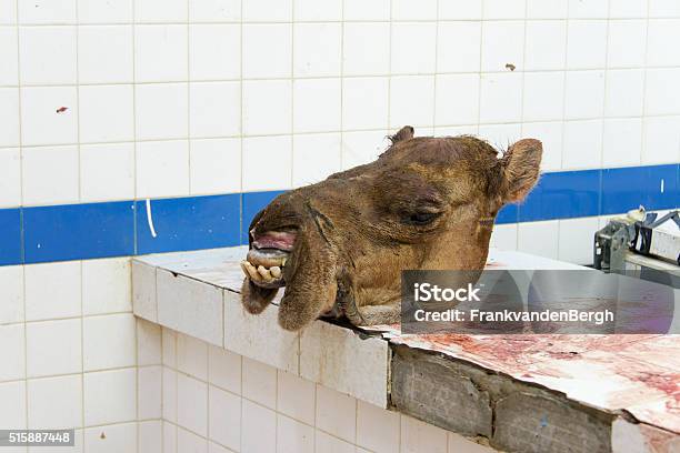 Butchers Shop Selling Camel Meat Stock Photo - Download Image Now - Butcher's Shop, Animal Body Part, Animal Head