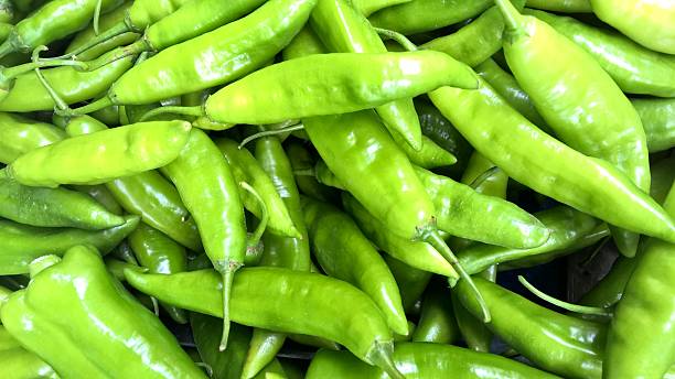 Peppers stock photo