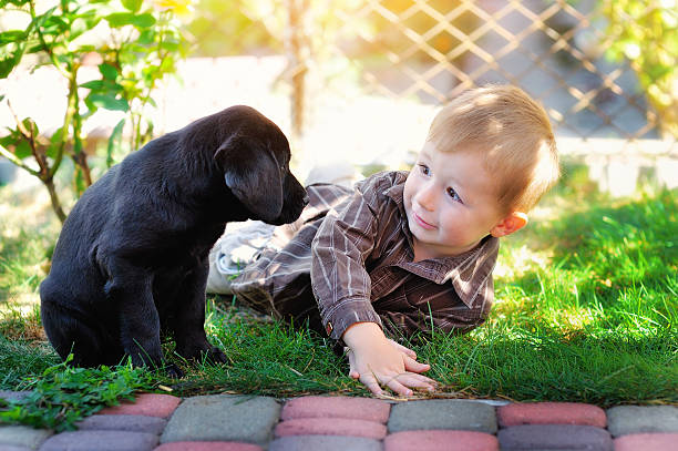 istock little boy playing in the yard with a puppy Labrador 515889344