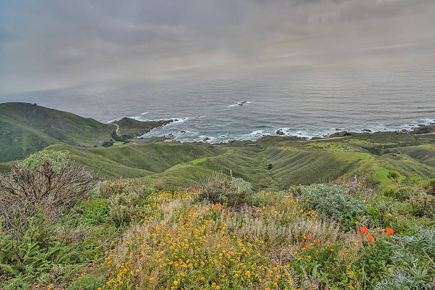 istock Pacific Ocean from Garrapata State Park, Monterey Coast, Central California 515889834