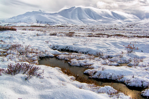 Piscinas en la Tundra las montañas photo
