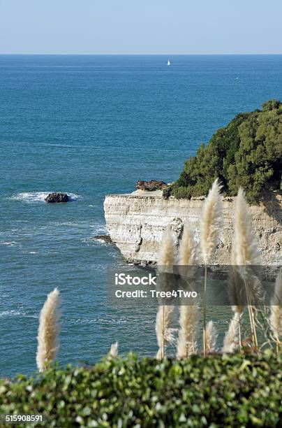 Gulf Of Biscay Biarritz Coast With Rocks Stock Photo - Download Image Now - Aquitaine, Atlantic Ocean, Bay Of Biscay