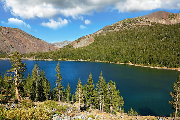 istock Lake Tioga on pass in   mountains 515910583