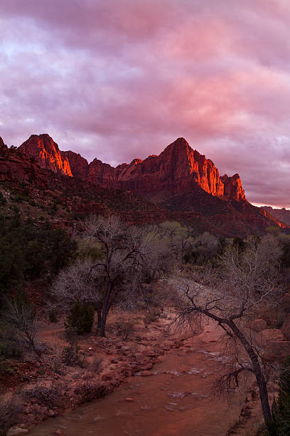 istock Watchman Mountain at Sunset 515912972