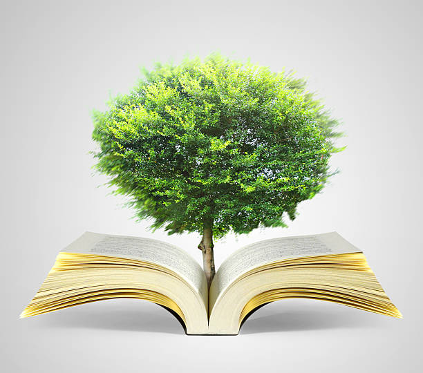 istock book of fantasy stories 515913692