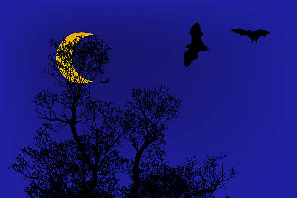 istock Bats silhouettes and beautiful branch for background usage under moonlight 515914272