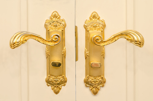 Door Hinge