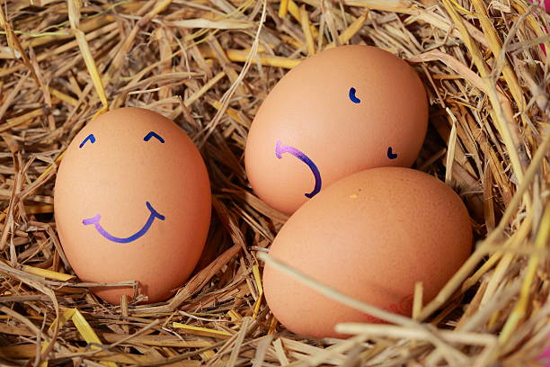 istock Emotion of fresh eggs  on a straw. 515915864