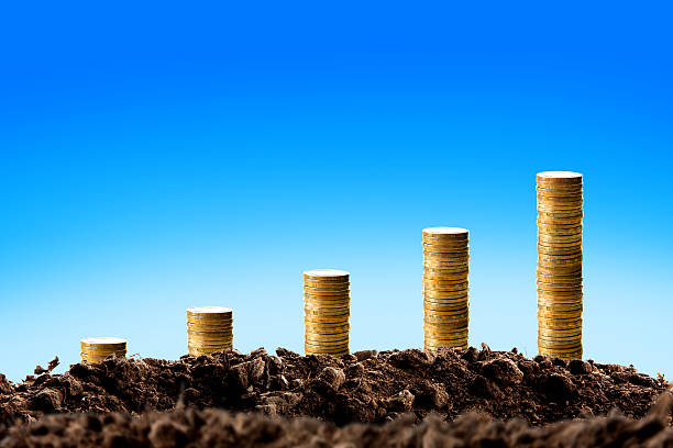 istock Money growing in soil , Business success concept. 515919992