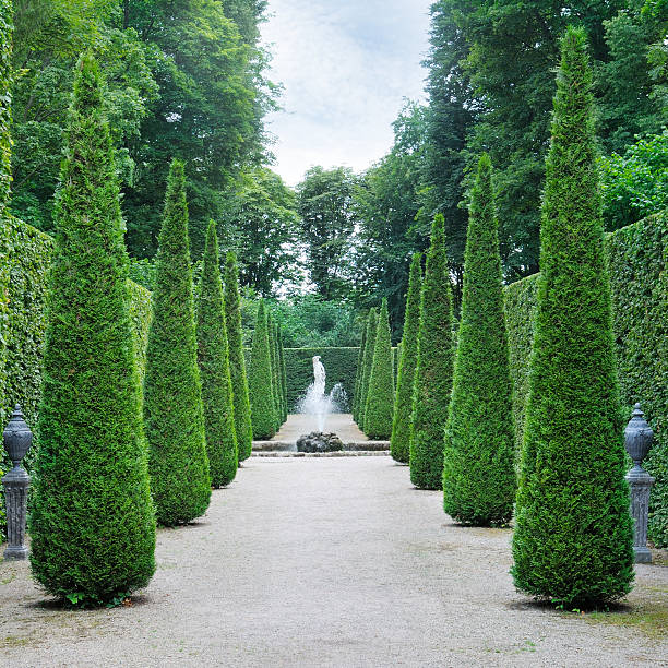 istock alley in the park. 515923363