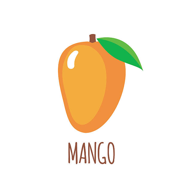 Mango icon in flat style on white background Mango in flat style. Mango vector logo. Mango icon. Isolated object. Vector illustration. Mango on white background mango stock illustrations