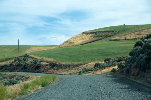 Gravel Road through rural landscape, farmfields on hills